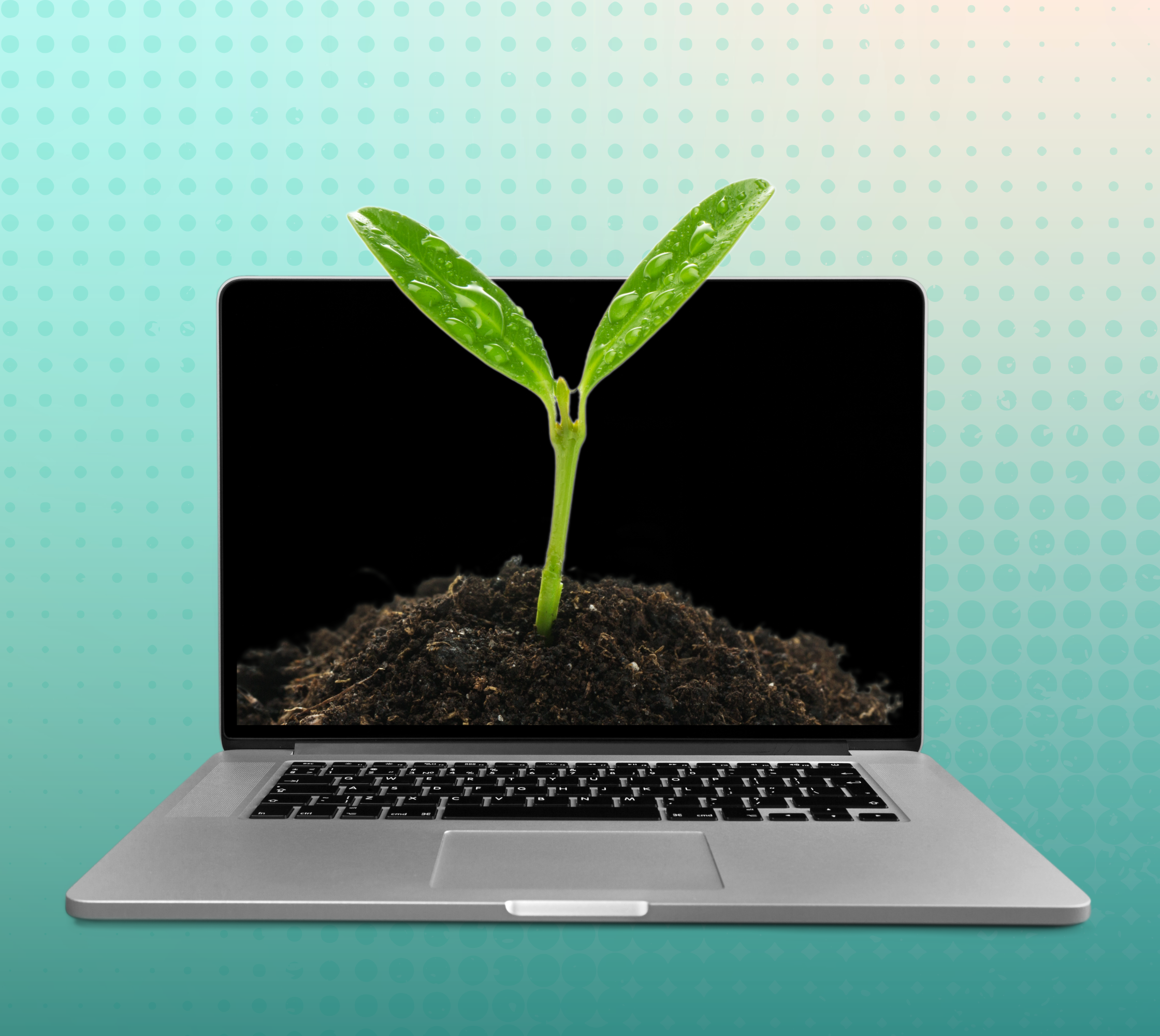 Eco-Conscious Ways to Use AI